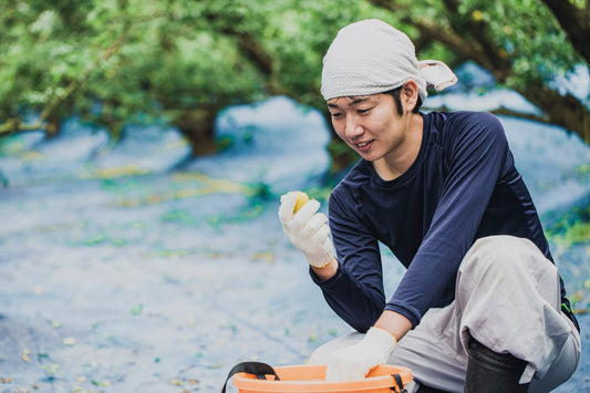 SANABURI SPIRITS 梅リキュール with 梅ボーイズ prototype04